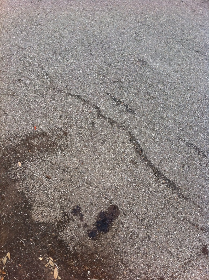 2011/05(May)/My Brain Injury Recovery/800x600_2011-05-17-Janeen's TBI-19.jpg